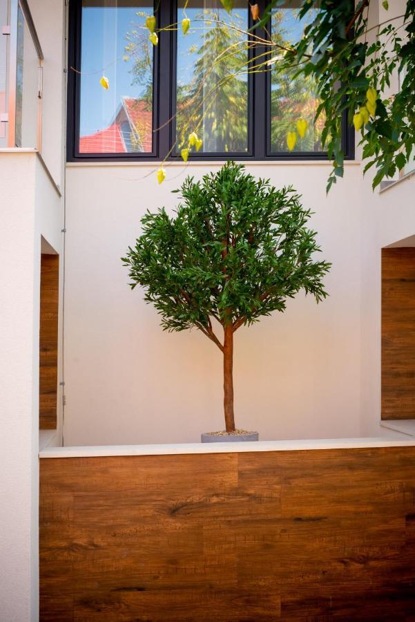 Elixir Panzio Bed and Breakfast Nyírbátor Εξωτερικό φωτογραφία