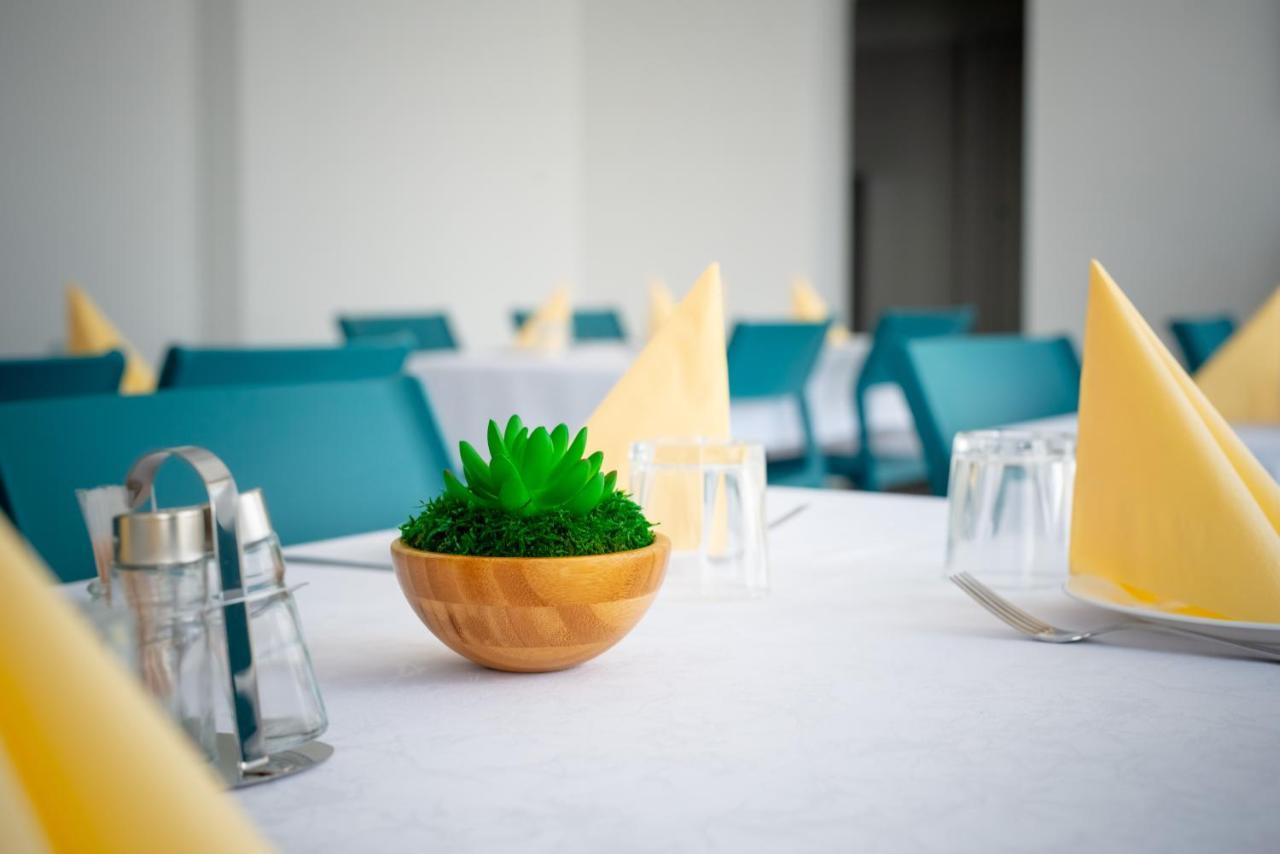 Elixir Panzio Bed and Breakfast Nyírbátor Εξωτερικό φωτογραφία